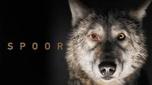 Spoor (2017)