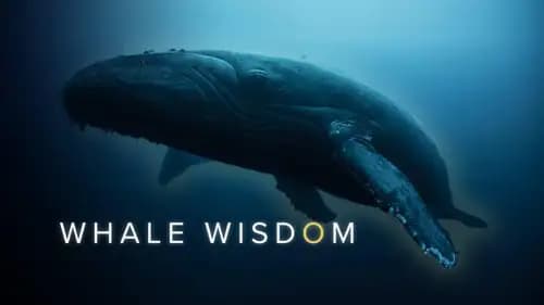 Whale Wisdom (2019)