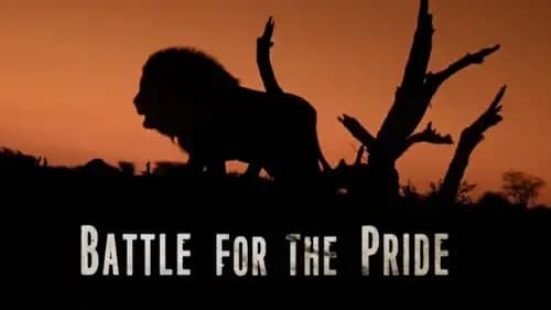 Pride in Battle (2010)