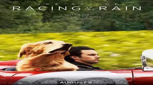 The Art of Racing in the Rain (2019)
