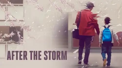 After the Storm (2016)