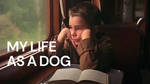 My Life As A Dog (1985)