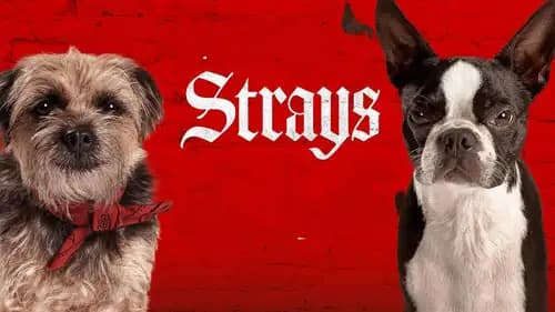 Strays (2023)