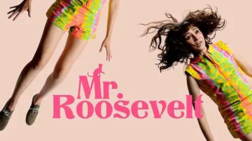 Mr. Roosevelt (2017)