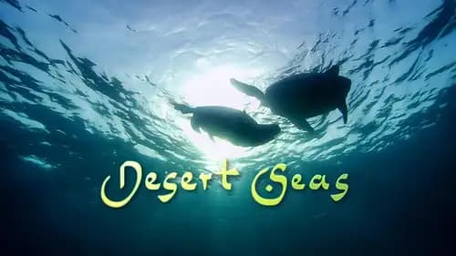Desert Seas (2011)