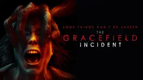 The Gracefield Incident (2017)