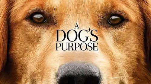 A Dog’s Purpose (2017)