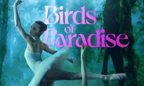 Birds of Paradise اون لاين (2021)
