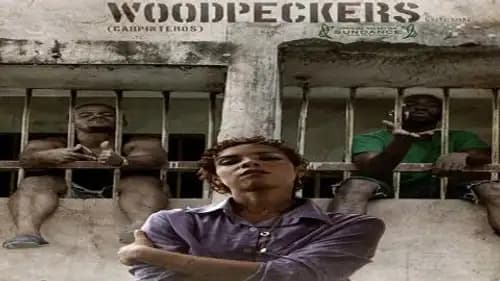Woodpeckers (2017)
