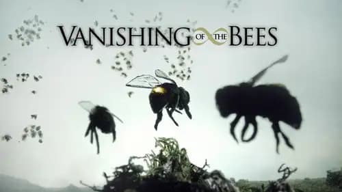 Vanishing Of The Bees (2009)
