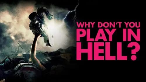 Why Don’t You Play in Hell (2013)