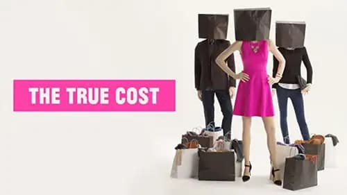 The True Cost (2015)