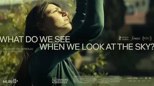 What Do We See When We Look At The Sky (2021)