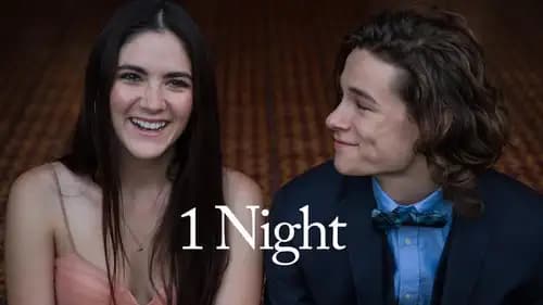 One Night (2016)