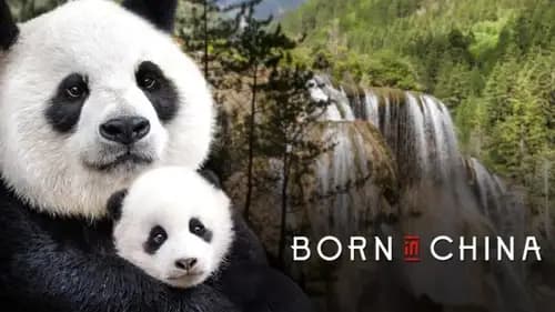 Born in China (2016)