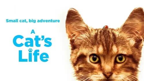 A Cat's Life (2023)
