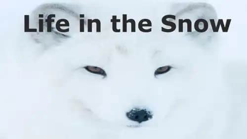 Life in the Snow (2016)