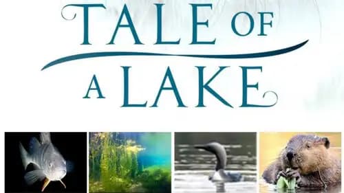 Tale of a Lake (2016)