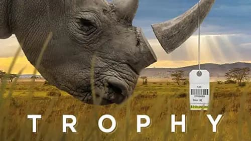 Trophy (2017)