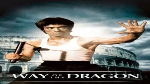 The Way of the Dragon (1972)