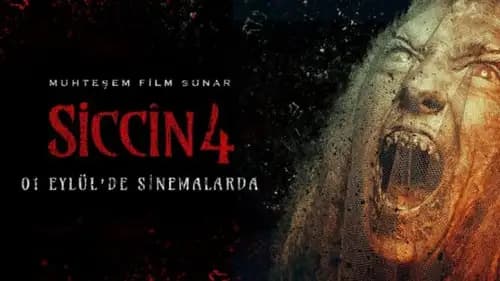 Siccin 4 (2017)