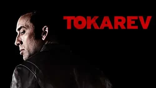 Tokarev (2014)