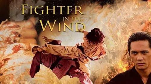 Fighter In The Wind (2004)