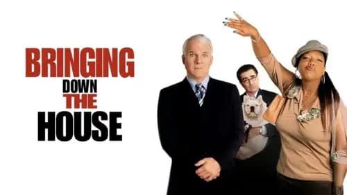Bringing Down the House (2003)