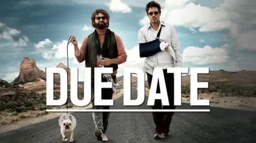 Due Date (2010)