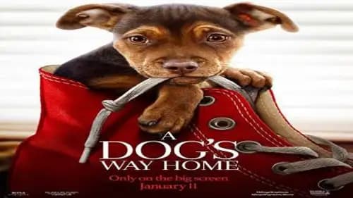 A Dog’s Way Home (2019)