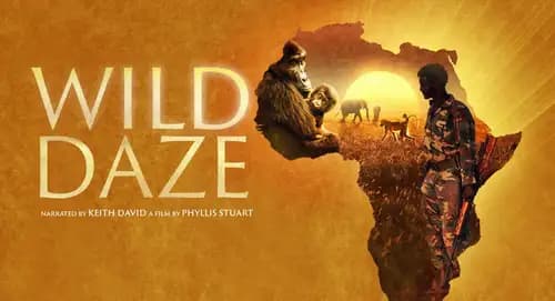 Wild Daze (2020)