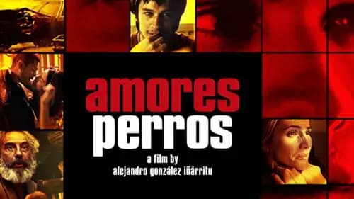 Amores Perros (2000)