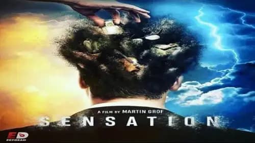 Sensation (2021)