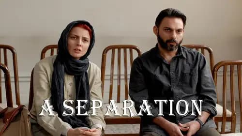 A Separation (2011)